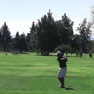 Meet your Posher, Gordon